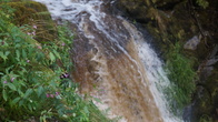 DSC01632.JPG