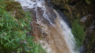 DSC01633.JPG
