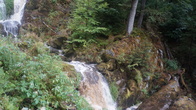DSC01635.JPG