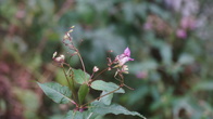 DSC01640.JPG