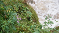 DSC01642.JPG