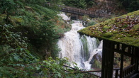 DSC01644.JPG