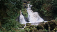 DSC01647.JPG