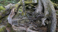 DSC01659.JPG