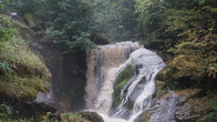 DSC01662.JPG