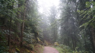 DSC01666.JPG