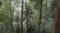 DSC01686.JPG