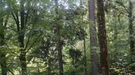 DSC01693.JPG