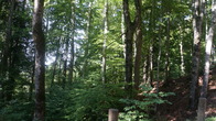 DSC01800.JPG