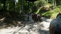 DSC01806.JPG