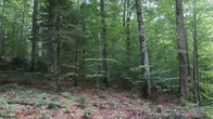DSC01853.JPG