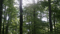 DSC01857.JPG