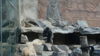 DSC01909.JPG