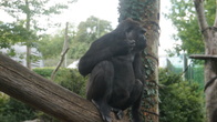 DSC01914.JPG