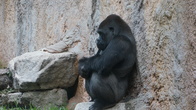 DSC01916.JPG