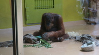 DSC01920.JPG