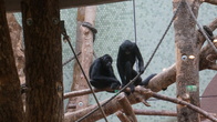 DSC01923.JPG