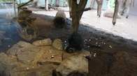 DSC01931.JPG