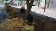 DSC01932.JPG