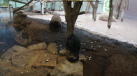 DSC01933.JPG