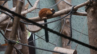 DSC01936.JPG