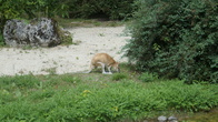 DSC01939.JPG