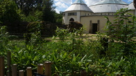 DSC01942.JPG