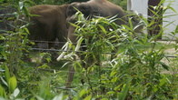 DSC01944.JPG