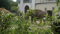 DSC01945.JPG