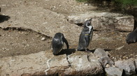 DSC01958.JPG