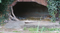 DSC01964.JPG