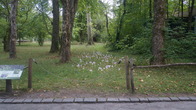 DSC01965.JPG