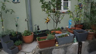 DSC02063.JPG
