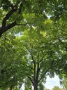 20260826_192954.jpg