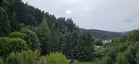 20260827_180418.jpg