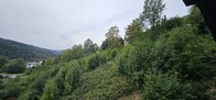 20260827_180420.jpg