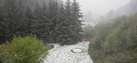 20260828_093013.jpg