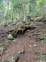 20260828_124830.jpg