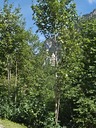 20260830_142603.jpg