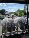 20260830_155619.jpg
