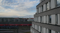 DSC01223.jpg