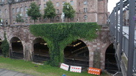 DSC01241.jpg