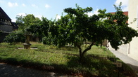 DSC01337.jpg