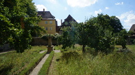 DSC01338.jpg