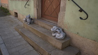 DSC01339.jpg