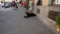 DSC01345.jpg