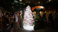 DSC01347.jpg