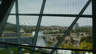 DSC01515.jpg