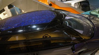 DSC01579.jpg