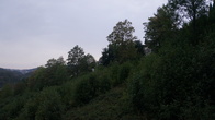 DSC01586.jpg